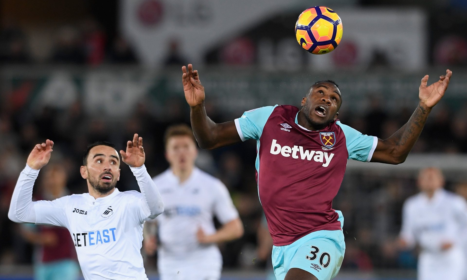 同时也为英 同时也为英